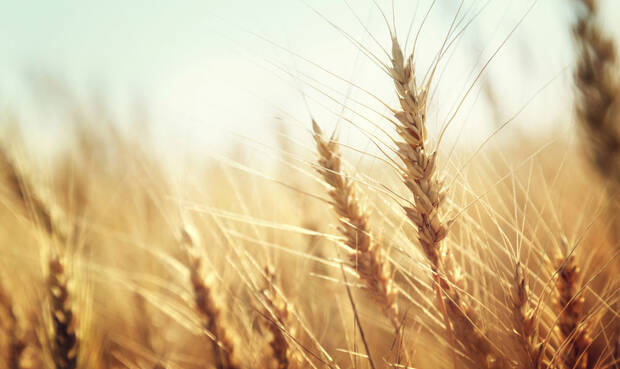 © IakovKalinin / iStock / Thinkstock
