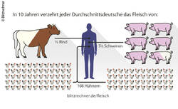 Auswirkungen des Fleischverbrauchs auf Umwelt, Gesundheit und Tiere zeigt der Blitzrechner "Fleisch" an.