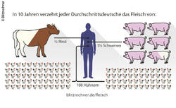 Auswirkungen des Fleischverbrauchs auf Umwelt, Gesundheit und Tiere zeigt der Blitzrechner "Fleisch" an. © Blitzrechner Auswirkungen des Fleischverbrauchs auf Umwelt, Gesundheit und Tiere zeigt der Blitzrechner "Fleisch" an.