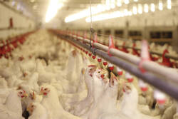 © branex / iStock / Thinkstock