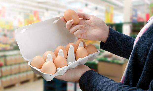 Frau hält Eierpackung. © simpson33 / iStock / Thinkstock