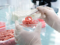 © AlexRaths / iStock / Thinkstock Gehacktes wird im Labor untersucht