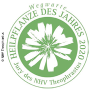 Als Kulturformen der gekürten Wegwarte sind u. a. Chicorée und Radicchio bekannt. © NHV Theophrastus Als Kulturformen der gekürten Wegwarte sind u. a. Chicorée und Radicchio bekannt. © NHV Theophrastus