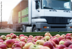 Äpfel auf Lastkraftwagen. © Smederevac/iStock/Getty Images Plus