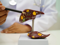 © Pakawadee Wongjinda/iStock/Getty Images Plus