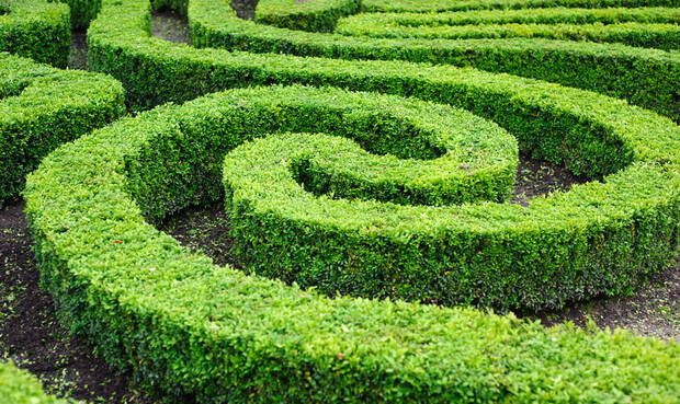Labyrinth aus einer Hecke. © Falombini / iStock / Thinkstock
