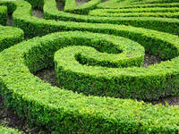 Auf verschlungenen Wegen: Die Biografiearbeit wertschätzt die Sinnhaftigkeit eigenen, auch „Fehl“-verhaltens im biografischen Zusammenhang. © Falombini / iStock / Thinkstock Labyrinth aus einer Hecke. © Falombini / iStock / Thinkstock