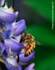© Megan Kobe/iStock/Getty Images Plus © Megan Kobe/iStock/Getty Images Plus