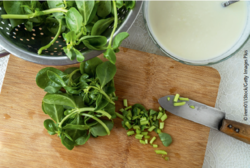 Einige Salate wie Portulak, Chicorée oder Feldsalat können den ganzen Winter hindurch geerntet und gegessen werden. © irem01/iStock/Getty Images Plus Einige Salate wie Portulak, Chicorée oder Feldsalat können den ganzen Winter hindurch geerntet und gegessen werden. © irem01/iStock/Getty Images Plus