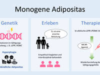 (eigene Darstellung)