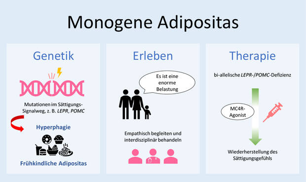 (eigene Darstellung)