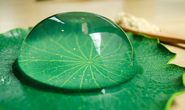 Raindrop Cake auf einem Blatt. © kamui29 / iStock / Thinkstock