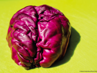 Dr. Annette Horstmann, Associate Professor Behavioural and Brain Sciences an der Universität in Helsinki, Finnland, beleuchtet das Zusammenspiel von Gehirn, Epigenetik und Umwelt mit Bezug zu Adipositas. © Marina Vedernikova/iStock/Getty Images Plus Blaukraut in Gehirnform auf gelbem Hintergrund. © Marina Vedernikova/iStBock/Getty Images Plus