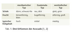 Tabelle 1: Die Urformen der Avocado.