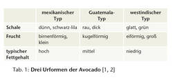 Tabelle 1: Die Urformen der Avocado. Tabelle 1: Die Urformen der Avocado.