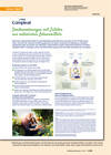 EU 2025 Ausgabe 7