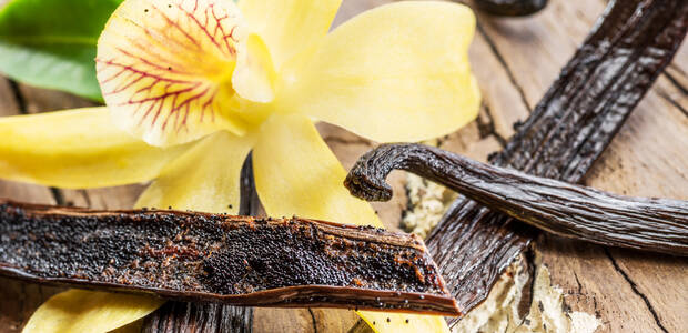 Bild einer Vanilleschote