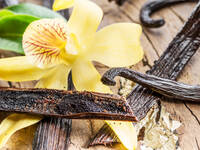 Bild einer Vanilleschote