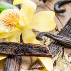 Forschung für eine nachhaltige Zukunft der Vanille