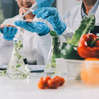 Neuartige Lebensmittel