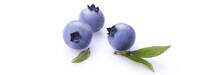 ©Wilde Blaubeeren aus Kanada ©Wilde Blaubeeren aus Kanada