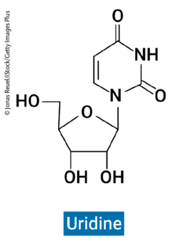 Uridin (Symbol U oder Urd; englisch: Uridine)