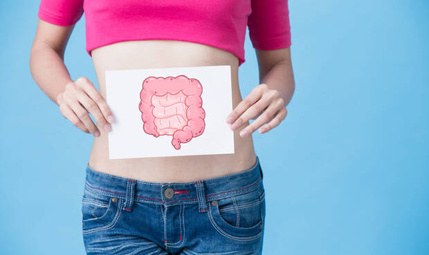 Jejunum und Ileum liegen in Schlingen im Bauchraum und sind über das Mesenterium elastisch aufgehängt. © RyanKing999 / iStock / Getty Images Plus
