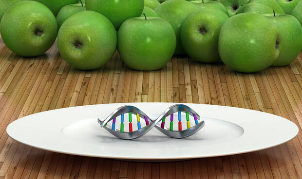 Besseres Gewichtsmanagement dank spezifischer Gen-Diäten? Forscher konnten bislang keine Belege für einen Erfolg der Methode finden. © cosinart / iStock / Getty Images Plus