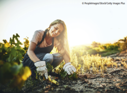 Eine Frau pflanzt im Garten. © PeopleImages/iStock/Getty Images Plus