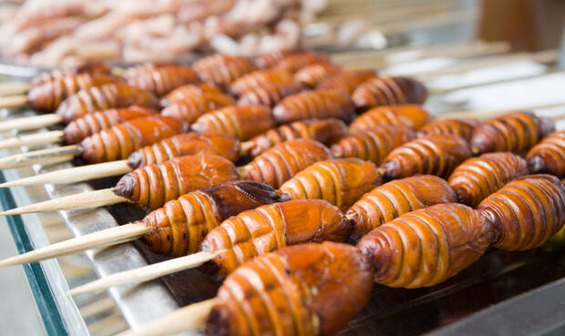 Alernativer Snack: Frittierte Seidenraupen am Spieß. © stask / iStock / Thinkstock