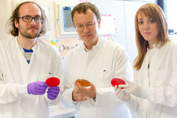 Drei Forscher mit Petrischalen.