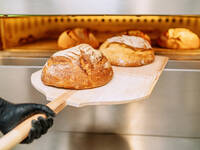 © koldo studio/iStock/Getty Images Plus