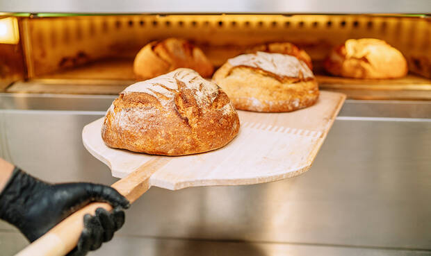 © koldo studio/iStock/Getty Images Plus