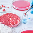 Kultiviertes Fleisch – Technologische Grundlagen, Prozessentwicklung und Zukunftsperspektiven