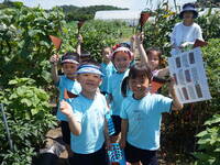Vorschulkinder in Südkorea. © Center for Children´s Foodservice Management in Deokjin-gu, Jeonju