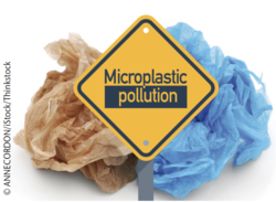 Immer mehr Menschen beunruhigt Mikroplastik in Lebensmitteln. Immer mehr Menschen beunruhigt Mikroplastik in Lebensmitteln.