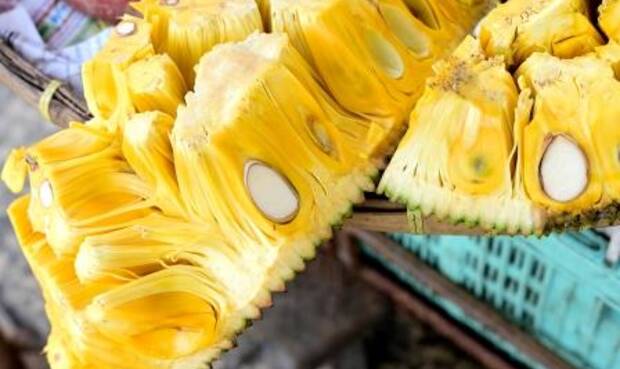 Das Fruchtfleisch der aus Indien stammenden Jackfrucht kann fleischähnlich zubereitet werden. © pichaitun/iStock/GettyImagesPlus