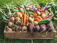 (c) alicjane / iStock / Getty Images Plus (c) alicjane / iStock / Getty Images Plus