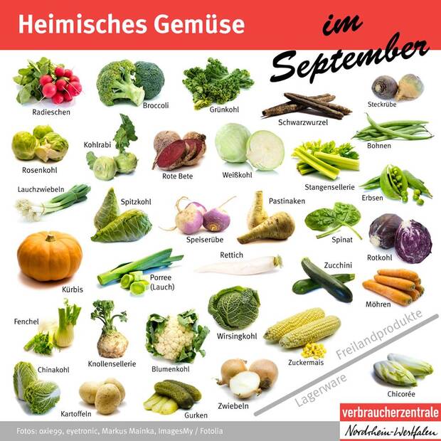 Heimisches Gemüse im September (c) Verbraucherzentrale Nordrhein-Westfalen Heimisches Gemüse im September (c) Verbraucherzentrale Nordrhein-Westfalen