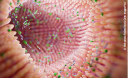 © Oleksandra Troian/iStock/Getty Images Plus 19.