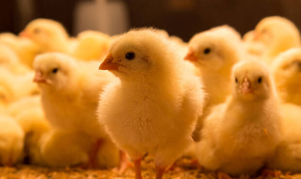 © olli0815 / iStock / Thinkstock