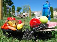 Public Health Nutrition untersucht Zusammenhänge zwischen Ernährung, Bewegung und Gesundheit. © ProPHN Sportsachen und Lebensmittel. © ProPHN