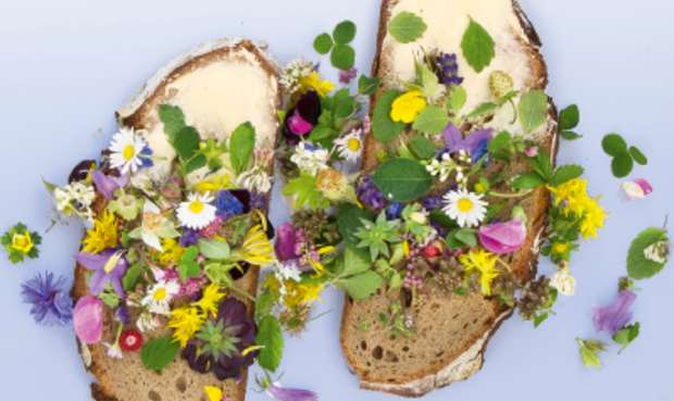 © ulrike brusch/iStock/Getty Images Plus