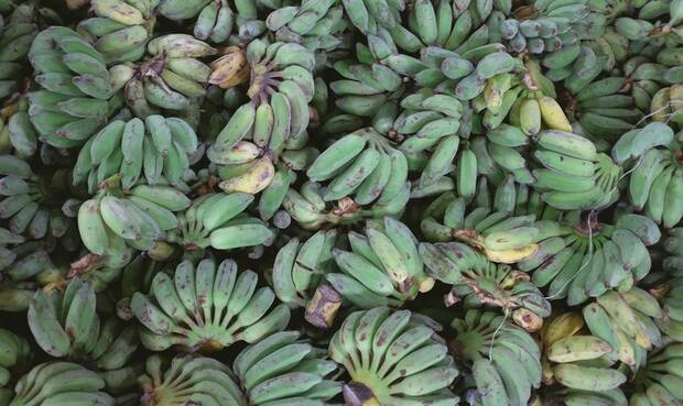 Das Mehl aus grünen Bananen soll 2018 ein Trend werden. / Photo by Henry Doe on Unsplash
