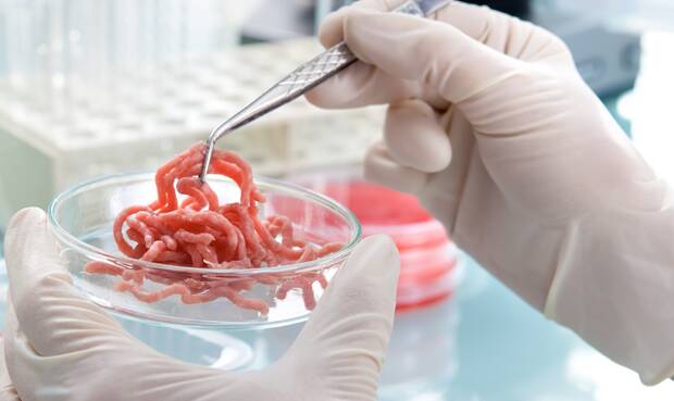 Fleisch in Petrischale im Labor. © AlexRaths / iStock / Thinkstock