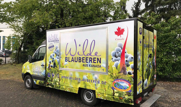 © Wilde Blaubeeren aus Kanada