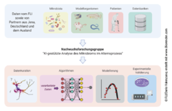Überblick über das wissenschaftliche Konzept der Nachwuchsforschungsgruppe. Die Forschungsgruppe wird KI-basierte Methoden entwickeln, um funktionelle Wechselwirkungen zwischen multidimensionalen Alterungs- und Mikrobiom-Datensätzen zu untersuchen. © FLI/ Überblick über das wissenschaftliche Konzept der Nachwuchsforschungsgruppe. Die Forschungsgruppe wird KI-basierte Methoden entwickeln, um funktionelle Wechselwirkungen zwischen multidimensionalen Alterungs- und Mikrobiom-Datensätzen zu untersuchen. © FLI/