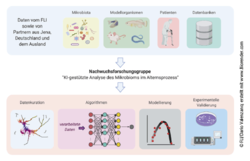 Überblick über das wissenschaftliche Konzept der Nachwuchsforschungsgruppe. Die Forschungsgruppe wird KI-basierte Methoden entwickeln, um funktionelle Wechselwirkungen zwischen multidimensionalen Alterungs- und Mikrobiom-Datensätzen zu untersuchen. © FLI/