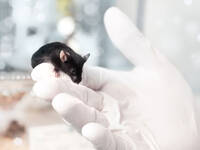 © anyaivanova / iStock / Thinkstock