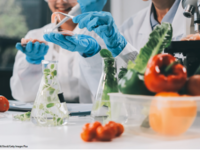 © ARMMY PICCA/iStock/Getty Images Plus